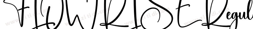 FLOWRISE Regular字体转换